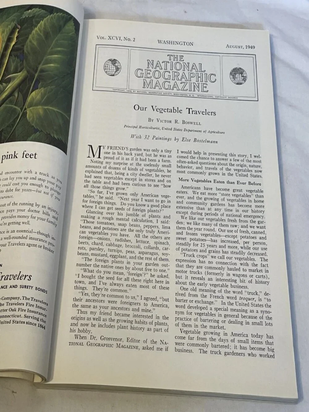 National Geographic August 1949 Our Vegetable Travelers Vintage Magazine